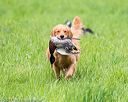20170603-shrl-0042