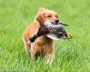 20170603-shrl-0048