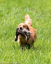 20170603-shrl-0059