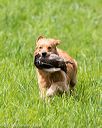 20170603-shrl-0061