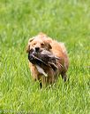 20170603-shrl-0062