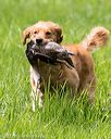 20170603-shrl-0064
