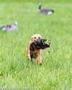 20170603-shrl-0073