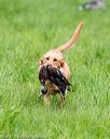 20170603-shrl-0076