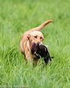 20170603-shrl-0077