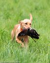 20170603-shrl-0080