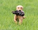 20170603-shrl-0089
