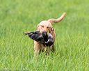 20170603-shrl-0090