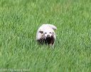 20170603-shrl-0109