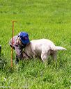 20170603-shrl-0116