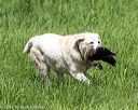 20170603-shrl-0128