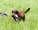 20170603-shrl-0172