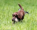 20170603-shrl-0176
