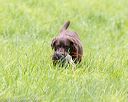 20170603-shrl-0187