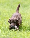 20170603-shrl-0192