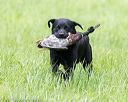 20170603-shrl-0208