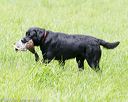 20170603-shrl-0213