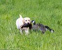 20170603-shrl-0241