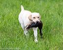 20170603-shrl-0244