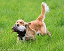 20170603-shrl-0324