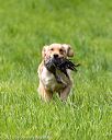 20170603-shrl-0330