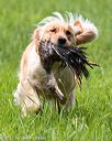 20170603-shrl-0340