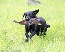 20170603-shrl-0362