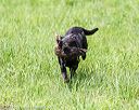 20170603-shrl-0425