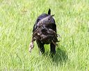 20170603-shrl-0431