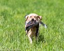 20170603-shrl-0460