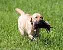20170603-shrl-0475