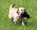 20170603-shrl-0476