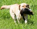 20170603-shrl-0479