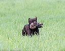 20170603-shrl-0487