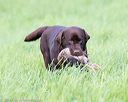 20170603-shrl-0496