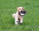 20170603-shrl-0535