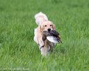 20170603-shrl-0543