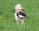 20170603-shrl-0545