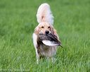 20170603-shrl-0548
