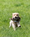 20170603-shrl-0555