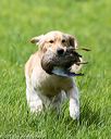 20170603-shrl-0558