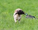 20170603-shrl-0570