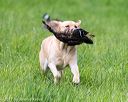 20170603-shrl-0573