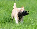 20170603-shrl-0574