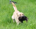 20170603-shrl-0575