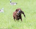 20170603-shrl-0646