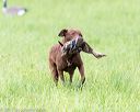 20170603-shrl-0648
