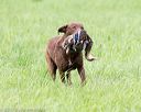 20170603-shrl-0655