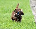 20170603-shrl-0656