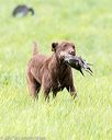 20170603-shrl-0666